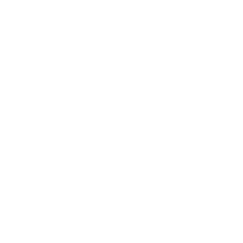 y-logo